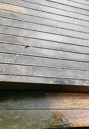 Home Restoration Service