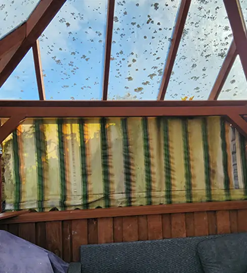 Home Restoration Service