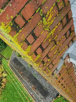 Home Restoration Service